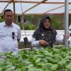 Dukung Program MBG, Bupati Siak Afni Zulkifli Perkuat Rantai Pasok Pangan dari BumKam