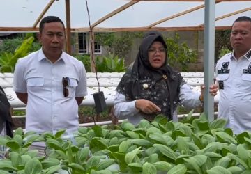 Dukung Program MBG, Bupati Siak Afni Zulkifli Perkuat Rantai Pasok Pangan dari BumKam
