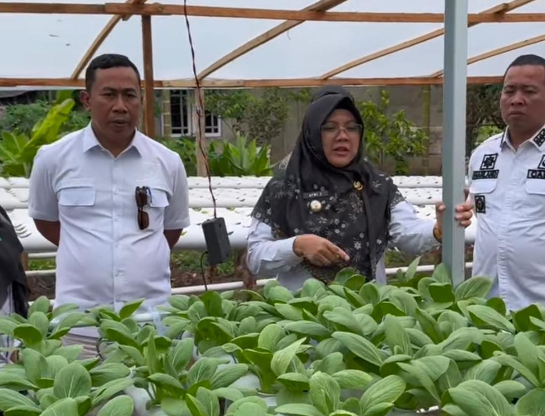 Dukung Program MBG, Bupati Siak Afni Zulkifli Perkuat Rantai Pasok Pangan dari BumKam