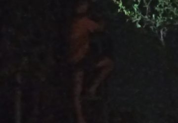 Gangguan WiFi di Malam Hari, Teknisi PT Bach Multi Global Diduga Langgar Prosedur K3