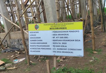 Dugaan Penyimpangan Selisih Anggaran Penggunaan Material Semen pada Proyek Pendopo Desa Brangkal Senilai Rp477 Juta