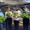 Dukung Ketahanan Pangan Nasional, Lapas Perempuan Pekanbaru Panen Pakcoy Hasil Karya Warga Binaan