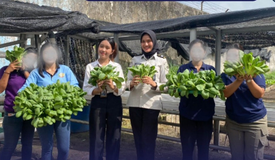 Dukung Ketahanan Pangan Nasional, Lapas Perempuan Pekanbaru Panen Pakcoy Hasil Karya Warga Binaan