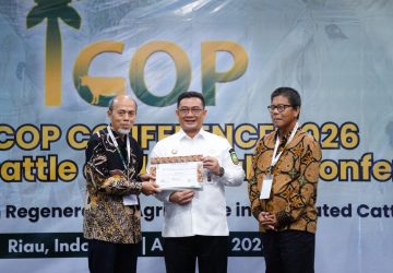 Riau Jadi Pusat Dunia, Forum Internasional ICOP 2026 Bahas Integrasi Sawit-Sapi di Pekanbaru