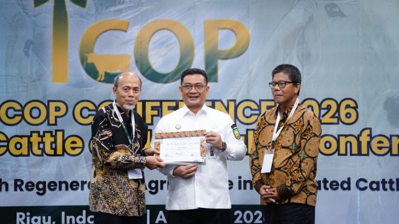 Riau Jadi Pusat Dunia, Forum Internasional ICOP 2026 Bahas Integrasi Sawit-Sapi di Pekanbaru