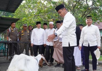 Pasca-Shalat Idul Adha, Bupati Kampar Tinjau Posko Kurban di Tapung dan Serahkan Bantuan Sapi