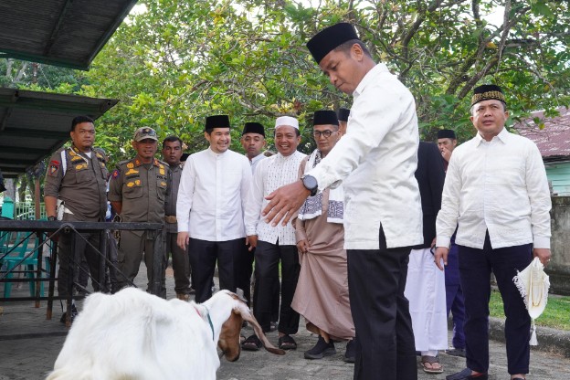 Pasca-Shalat Idul Adha, Bupati Kampar Tinjau Posko Kurban di Tapung dan Serahkan Bantuan Sapi