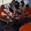 Pastikan Daging ASUH, Dinas PKH Riau Terjunkan Tim Pengawas di 33 Lokasi Kurban Pekanbaru