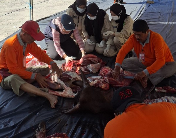 Pastikan Daging ASUH, Dinas PKH Riau Terjunkan Tim Pengawas di 33 Lokasi Kurban Pekanbaru