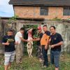 MIO Indonesia Muara Enim Sembelih Hewan Kurban Sumbangan PT BA, Daging Disalurkan untuk Kebutuhan Organisasi dan Keluarga Besar MIO