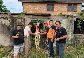 MIO Indonesia Muara Enim Sembelih Hewan Kurban Sumbangan PT BA, Daging Disalurkan untuk Kebutuhan Organisasi dan Keluarga Besar MIO