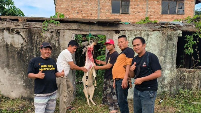 MIO Indonesia Muara Enim Sembelih Hewan Kurban Sumbangan PT BA, Daging Disalurkan untuk Kebutuhan Organisasi dan Keluarga Besar MIO