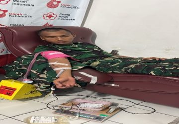TNI Respons Cepat, Prajurit Yonif 141/AYJP Donorkan Darah untuk Pasien Pendarahan di RSUD Dr.H.M. Rabain