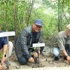 Dorong Penurunan Emisi Karbon, Wabup Siak Syamsurizal Minta Sekolah Alam Mangrove Ditiru Kampung Lain