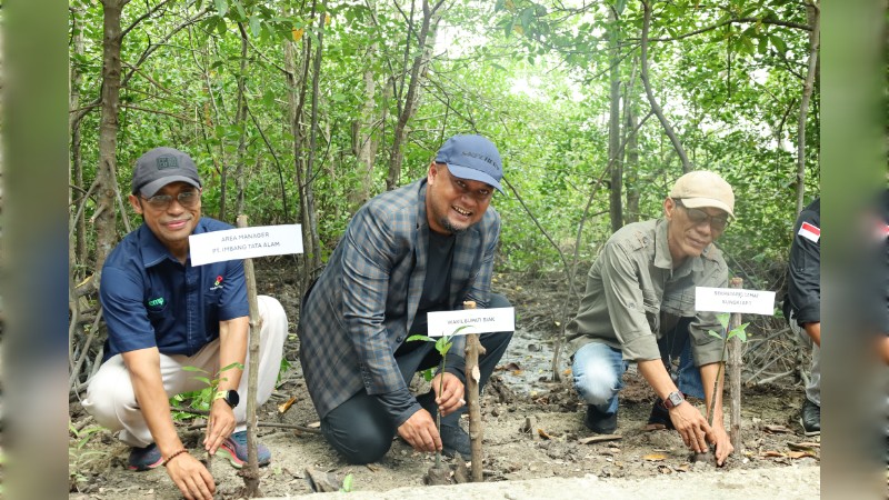 Dorong Penurunan Emisi Karbon, Wabup Siak Syamsurizal Minta Sekolah Alam Mangrove Ditiru Kampung Lain