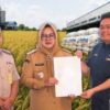 Jaga Stabilitas Harga Gabah, Pemkab Muara Enim Hibahkan Lahan 3 Hektare untuk Gudang Bulog