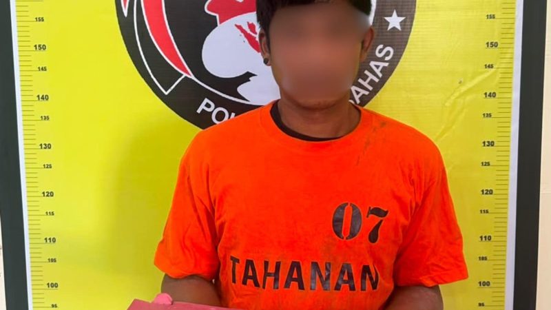 Pengedar Sabu Berkedok Sopir Angkot Ditangkap di Humbahas, Polisi Sita Sabu 0,73 Gram