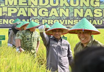 Sinergi Perkuat Ketahanan Pangan, Wabup Bagus Santoso Hadiri Panen Raya TNI di Siak Kecil
