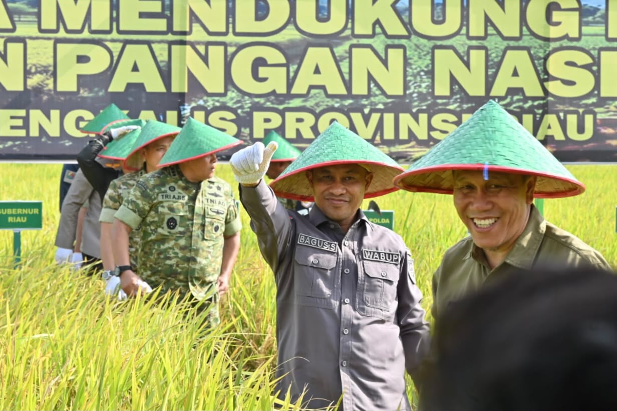 Sinergi Perkuat Ketahanan Pangan, Wabup Bagus Santoso Hadiri Panen Raya TNI di Siak Kecil