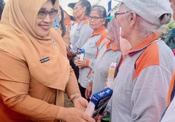 Puskesmas Hutabaginda Sosialisasikan Pencegahan Stunting kepada Masyarakat