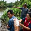 Sedang Pasang Pukat, Nelayan di Rokan Hilir Selamat Usai Duel Lawan Buaya