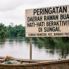 Sempat Berjuang Lewati Masa Kritis, Nelayan di Rohil yang Diterkam Buaya Meninggal Dunia