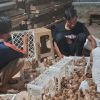 Mandiri Pangan, RT di Pekanbaru Sulap Lahan Tidur Jadi Peternakan Puyuh Produktif