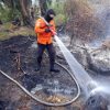 Dua Hari, Karhutla Lahap 11,5 Hektare Lahan di Muba