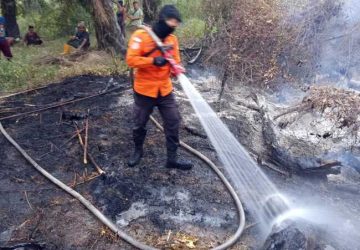Dua Hari, Karhutla Lahap 11,5 Hektare Lahan di Muba