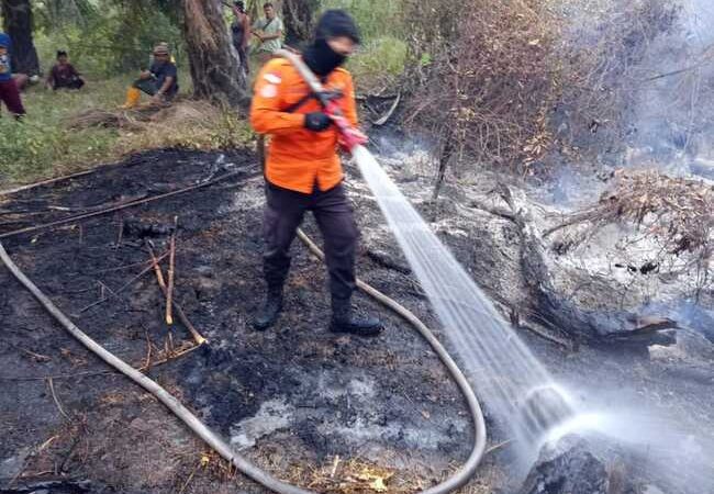 Dua Hari, Karhutla Lahap 11,5 Hektare Lahan di Muba
