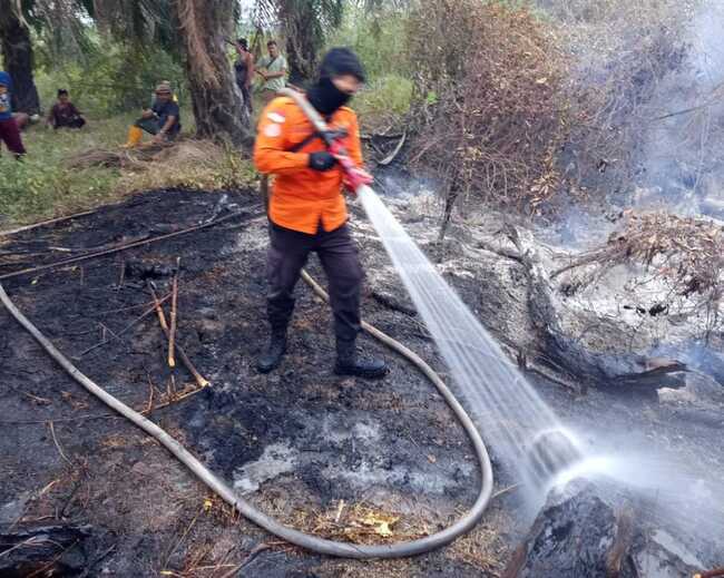 Dua Hari, Karhutla Lahap 11,5 Hektare Lahan di Muba