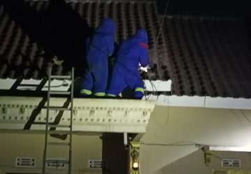 Tim Damkar Muara Enim Evakuasi Sarang Tawon di Atap Rumah Warga Desa Muara Lawai