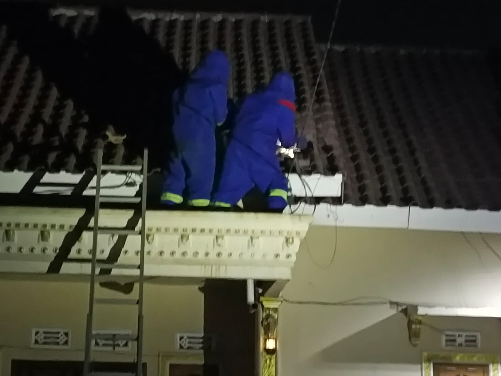 Tim Damkar Muara Enim Evakuasi Sarang Tawon di Atap Rumah Warga Desa Muara Lawai