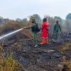Kodam XIX/Tuanku Tambusai Intensifkan Penanganan Karhutla di Dua Lokasi Indragiri Hulu