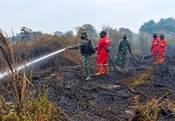 Kodam XIX/Tuanku Tambusai Intensifkan Penanganan Karhutla di Dua Lokasi Indragiri Hulu