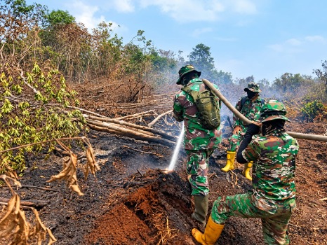 Kodam XIX/Tuanku Tambusai Terus Kejar Pendinginan Karhutla di Inhu, Pulau Jum'at Masih Berasap
