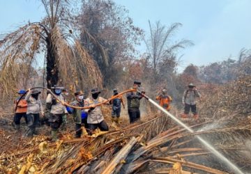 Terjun Langsung Padamkan Karhutla di Sungai Guntung Hilir, Bupati Ade dan Kapolres Inhu Apresiasi Perjuangan Tim Gabungkan