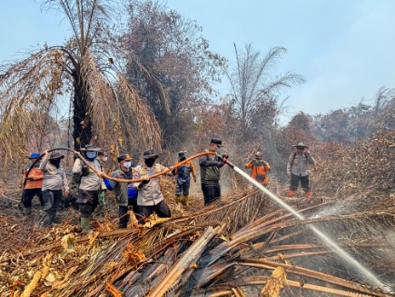 Terjun Langsung Padamkan Karhutla di Sungai Guntung Hilir, Bupati Ade dan Kapolres Inhu Apresiasi Perjuangan Tim Gabungkan