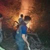 Cegah Meluas ke Permukiman, Damkar Muba Gerak Cepat Padamkan Karhutla di Petaling