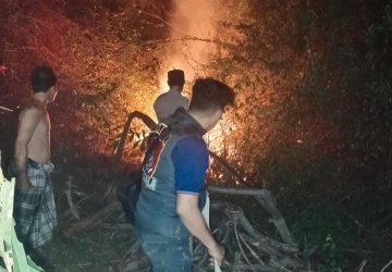 Cegah Meluas ke Permukiman, Damkar Muba Gerak Cepat Padamkan Karhutla di Petaling