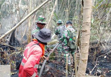 Cegah Api Kembali Muncul, Kodam XIX/Tuanku Tambusai Lanjutkan Pendinginan Karhutla Inhu
