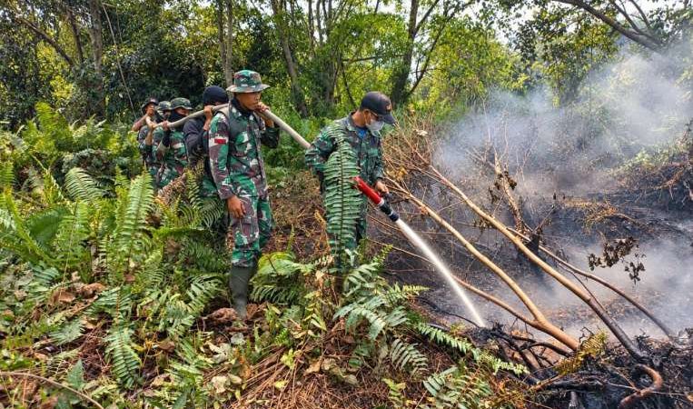 Kodam XIX/Tuanku Tambusai Bergerak di Kuala Cenaku, Pemadaman Karhutla Terus Berlanjut