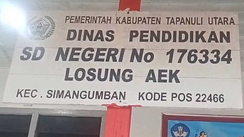 Dugaan Perlakuan Tak Profesional, Plt Kepsek SDN Losung Aek Diminta Dievaluasi