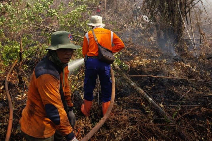 Hadiri Bulan PRB 2026 di Banten, Kalaksa BPBD Riau Bagikan Strategi Sukses Tangani Karhutla
